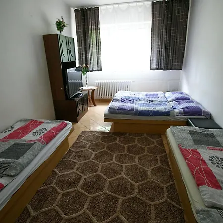 Alexander * שינה